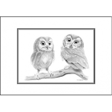 Two owls card - Code A51