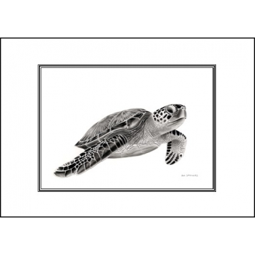 Turtle card - Code A33