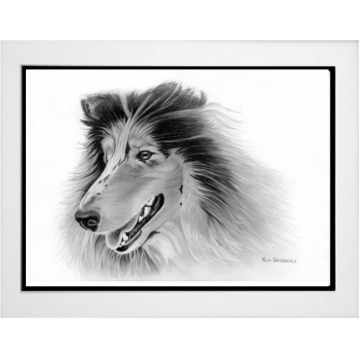 Pet Portrait commission