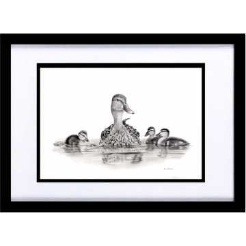 Growing up fast - Prints