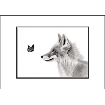 Fox card - Code A34 Fox card - Code A34