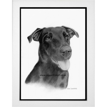 Pet Portrait commission