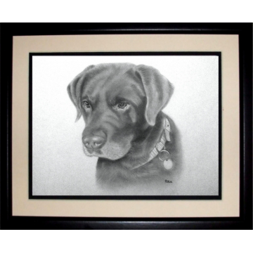 Original drawing,  Labrador, Commission