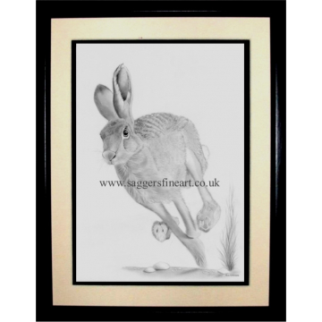 The Running Hare - Original drawing - SOLD