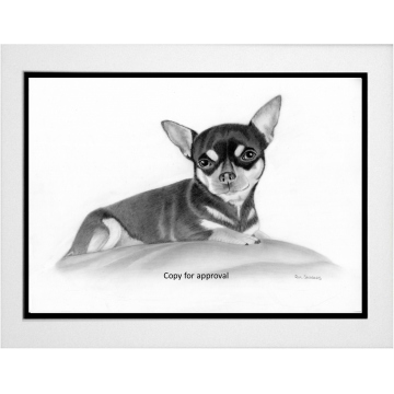 Pet Portrait commission