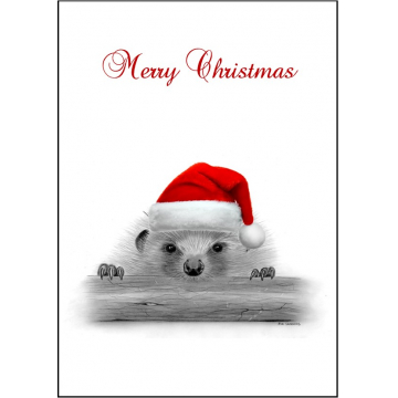 Hedgehog 2 Christmas Card